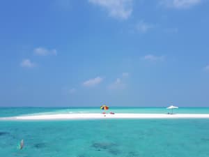 thumbnail: Beach