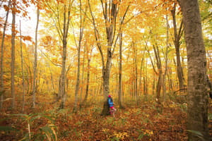 thumbnail: Hiking