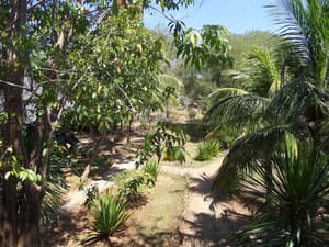 thumbnail: Property grounds