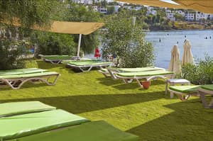 thumbnail: Terrace