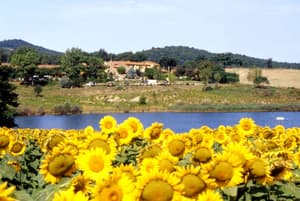 thumbnail: View from property