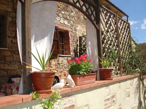 thumbnail: Terrace/patio
