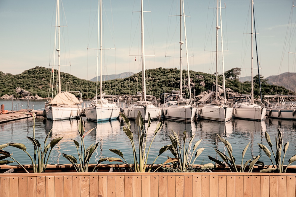 Dock