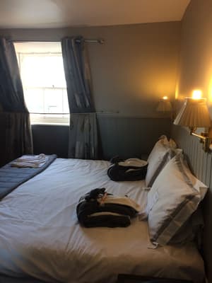 thumbnail: Room