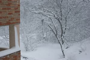 thumbnail: View from property