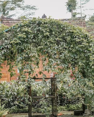 thumbnail: Garden