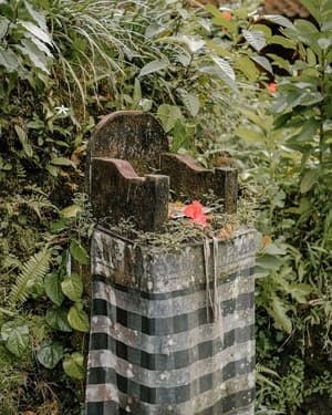 thumbnail: Garden