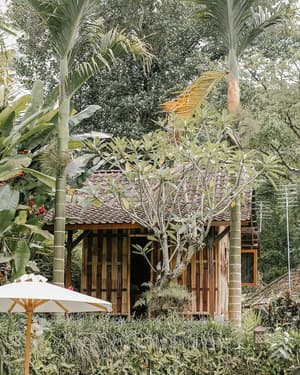 thumbnail: Garden