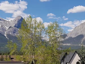 thumbnail: Mountain view