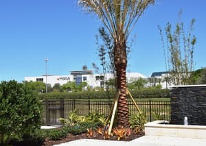 thumbnail: View from property