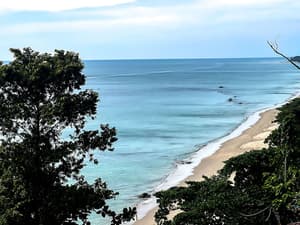 thumbnail: View from room