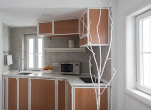 thumbnail: Private kitchen