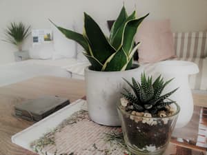 thumbnail: Interior detail