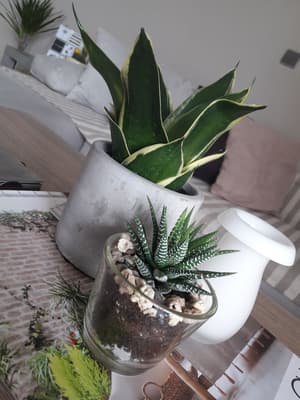 thumbnail: Interior detail