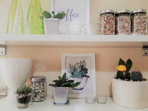 thumbnail: Interior