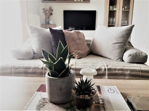 thumbnail: Interior