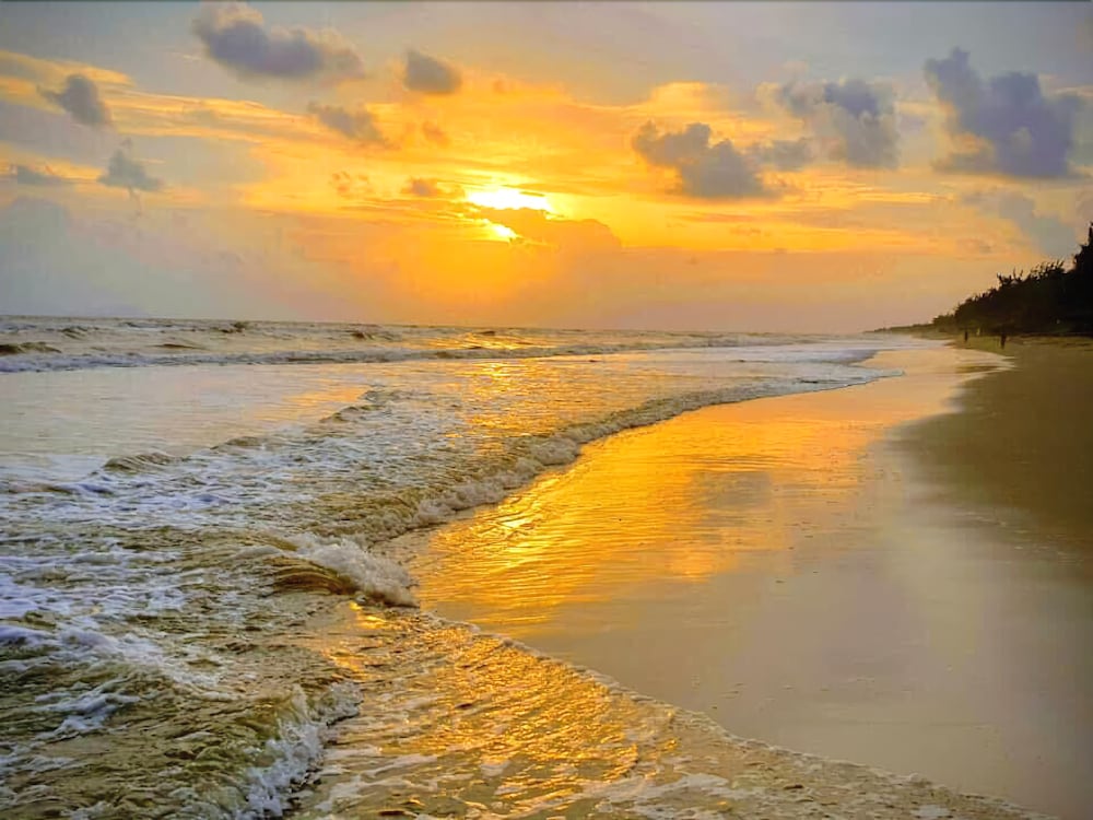 Beach/ocean view