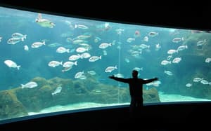 thumbnail: Point of interest
