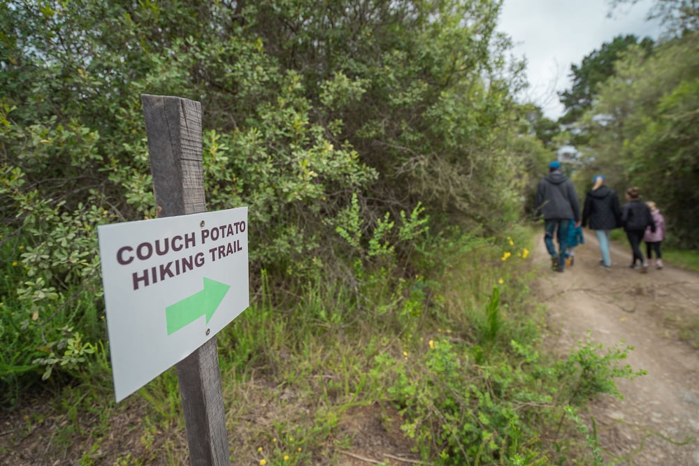 Hiking