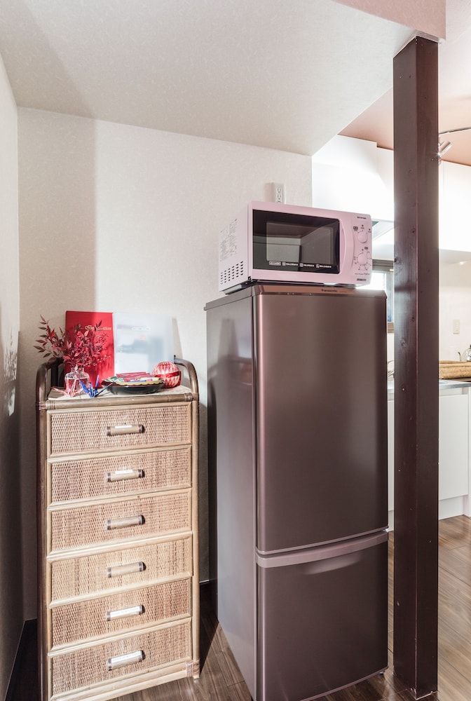 Mini-refrigerator