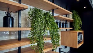 thumbnail: Property amenity
