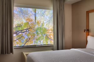 thumbnail: View from room