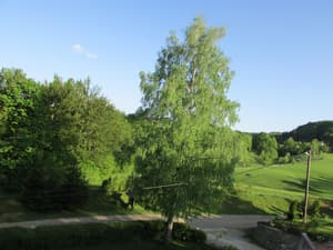 thumbnail: Sundeck