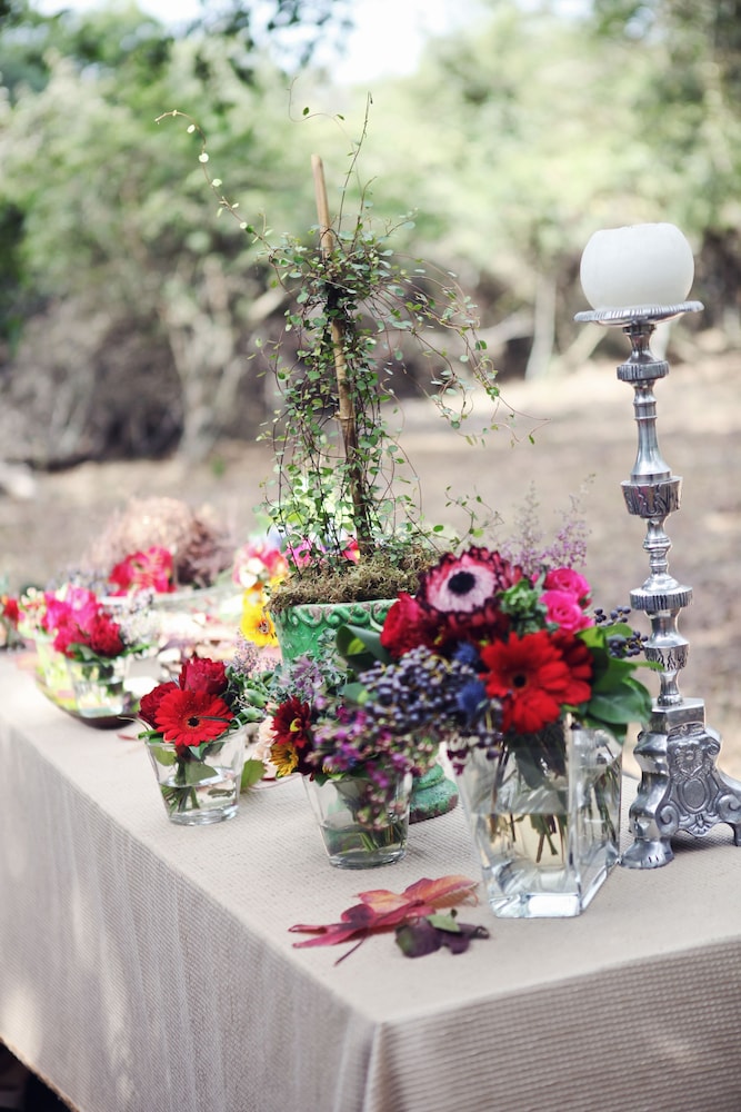 Outdoor wedding area