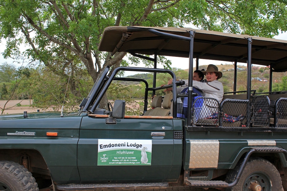 Safari