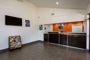thumbnail: Reception