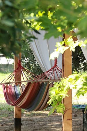 thumbnail: Garden