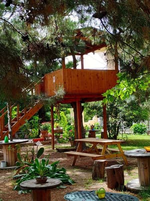 thumbnail: Garden