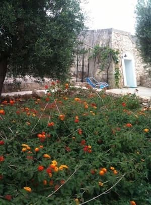 thumbnail: Garden