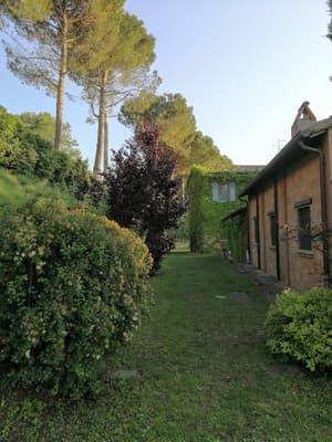 thumbnail: Garden