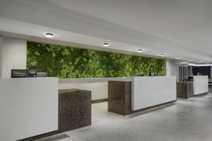 thumbnail: Reception
