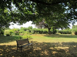 thumbnail: Garden