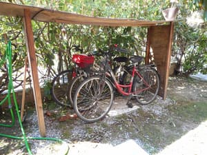 thumbnail: Bicycling