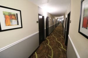 thumbnail: Interior