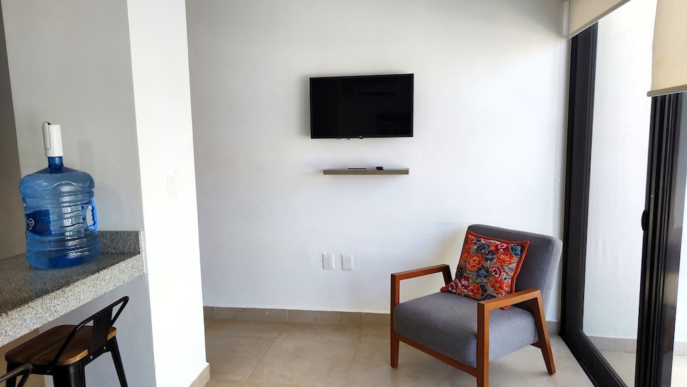Television