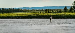 thumbnail: Fishing