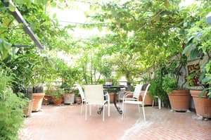 thumbnail: Terrace/patio
