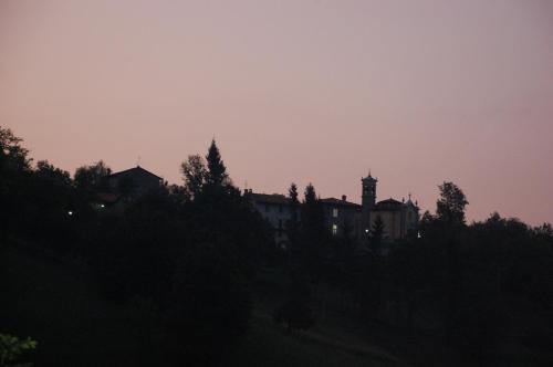 62305378.jpg