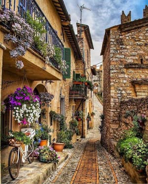 thumbnail: General view
