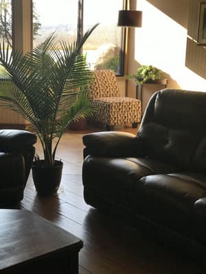 thumbnail: Reception