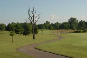 thumbnail: Property grounds