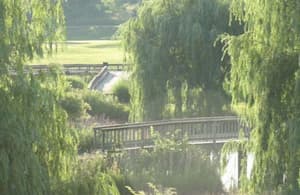thumbnail: Property grounds