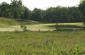 thumbnail: Property grounds