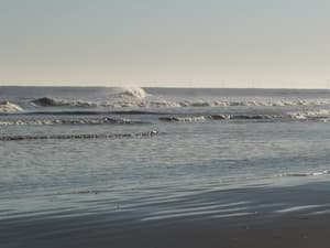 thumbnail: Beach