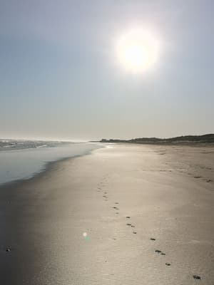 thumbnail: Beach
