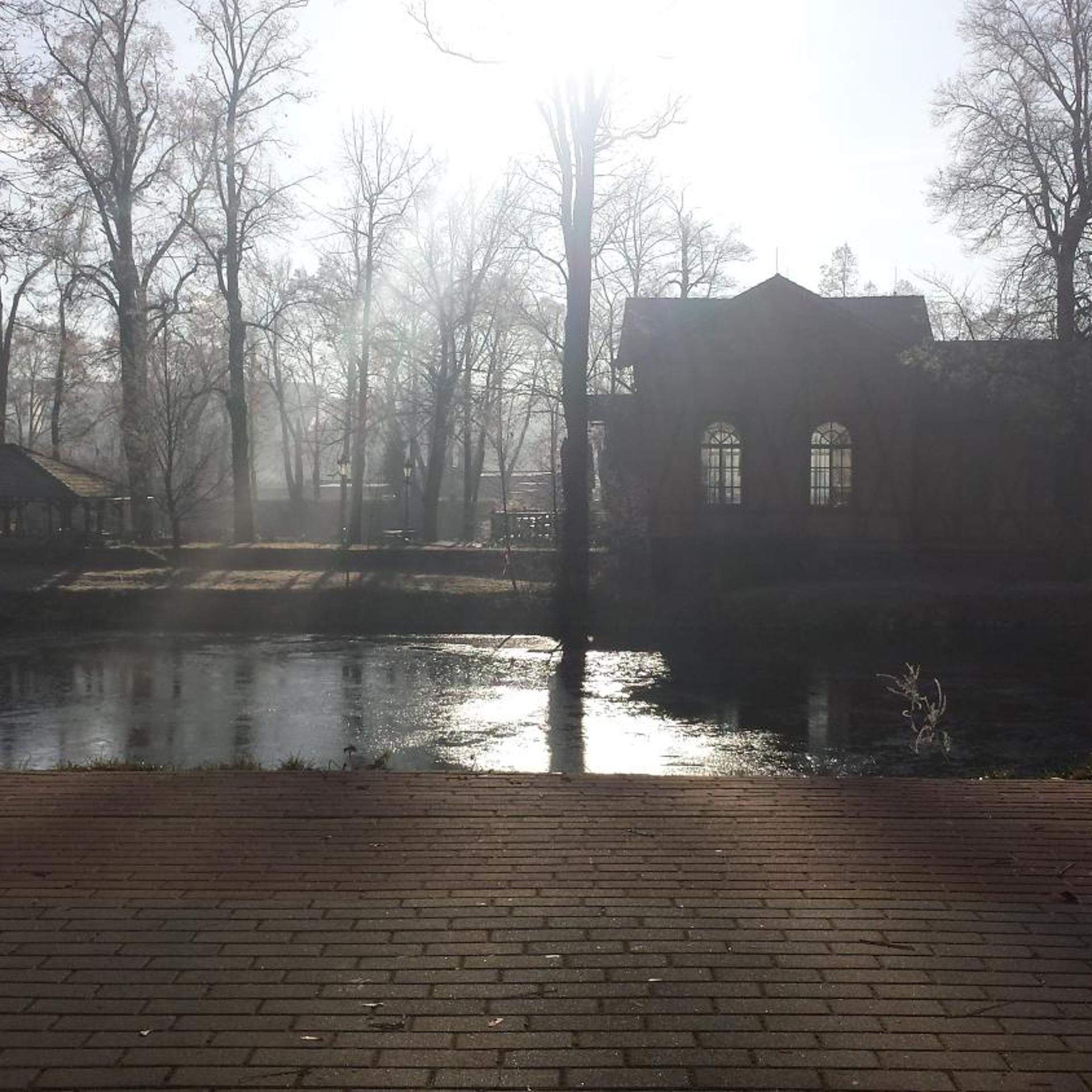 Surroundings